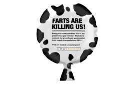 An image of a woopie cushion with 